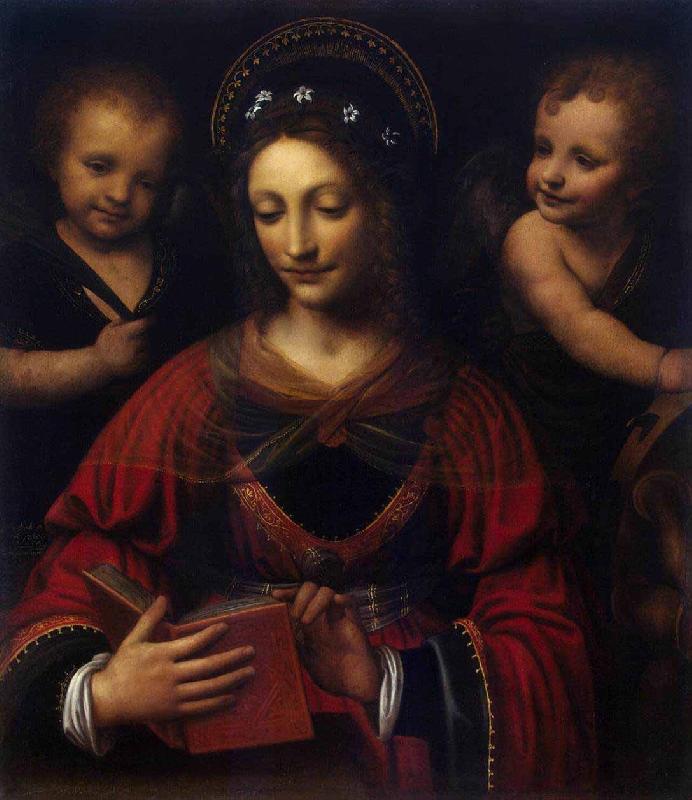 Bernardino Lanino Saint Catherine Sweden oil painting art